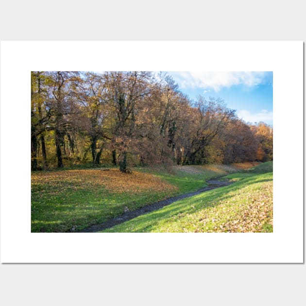 Small pond beside a forest in autumn with falling leaves Wall Art by KargacinArt